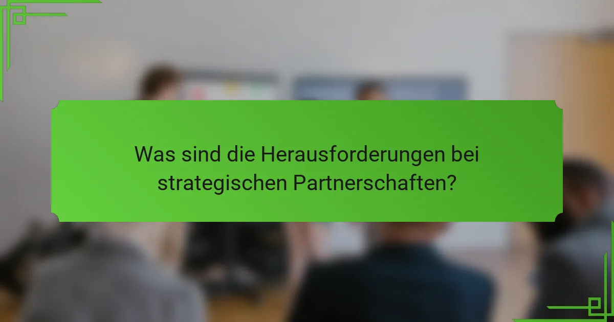 Was sind die Herausforderungen bei strategischen Partnerschaften?