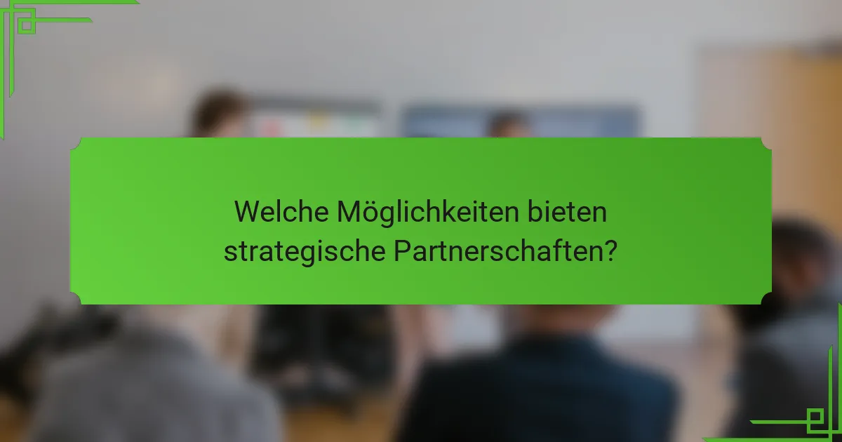 Welche Möglichkeiten bieten strategische Partnerschaften?
